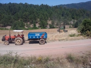 20150716_104935