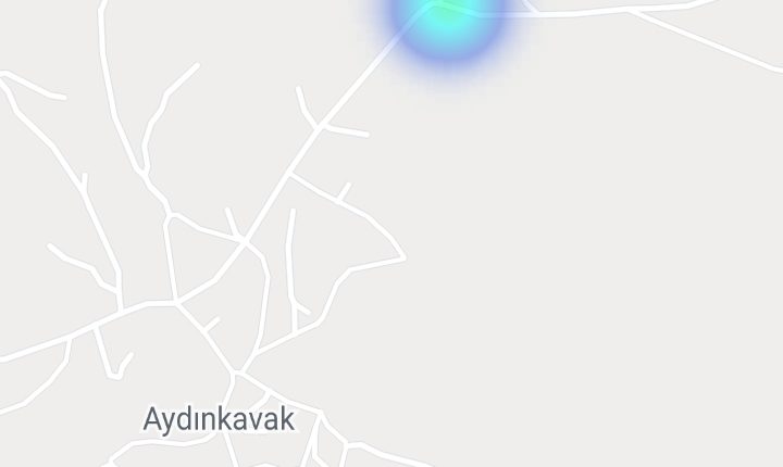 korona aydınkavak
