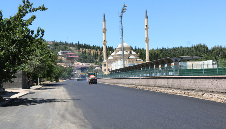 Türkoğlu (1)