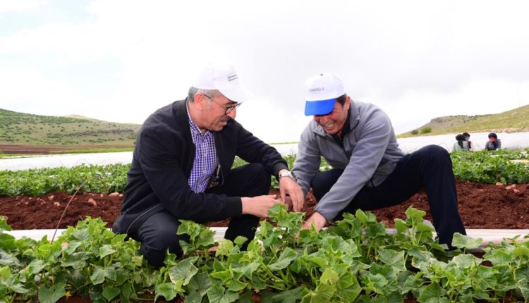 Kadıoğluçiftliği (4)