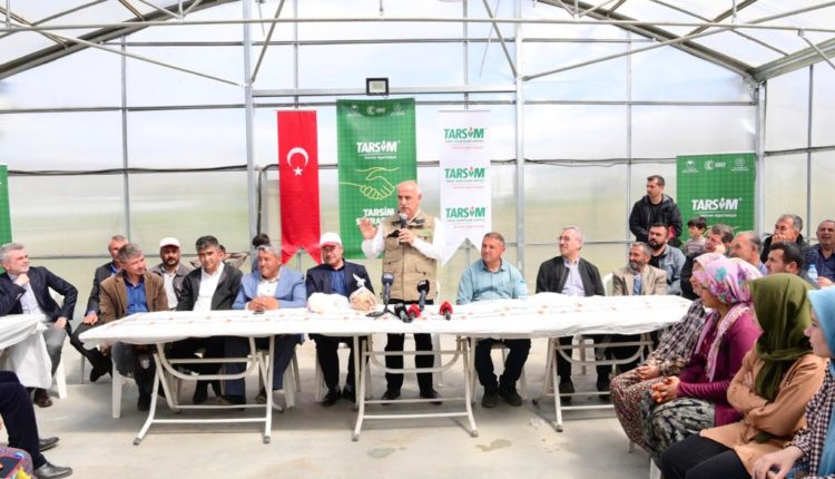 Kadıoğluçiftliği (8)