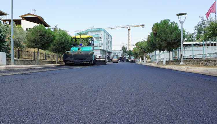 Türkoğlu Derebaşı Sokak (2)