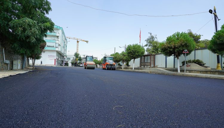 Türkoğlu Derebaşı Sokak (4)